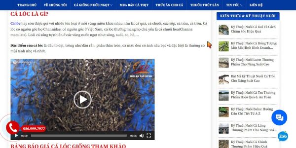 Hướng Dẫn Chèn Video Vào Bài Viết Trên Website Wordpress