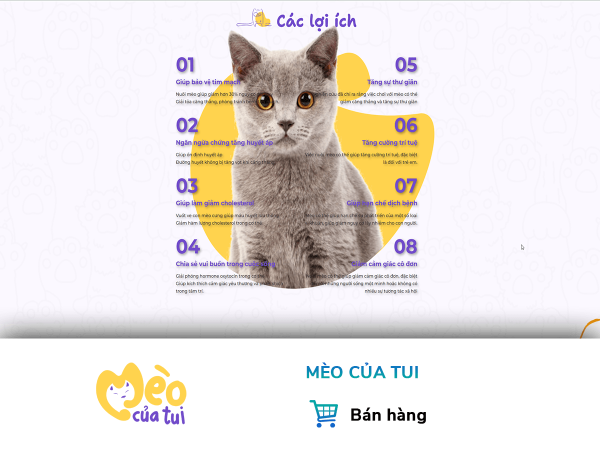 dự án tkw nổi bật 11